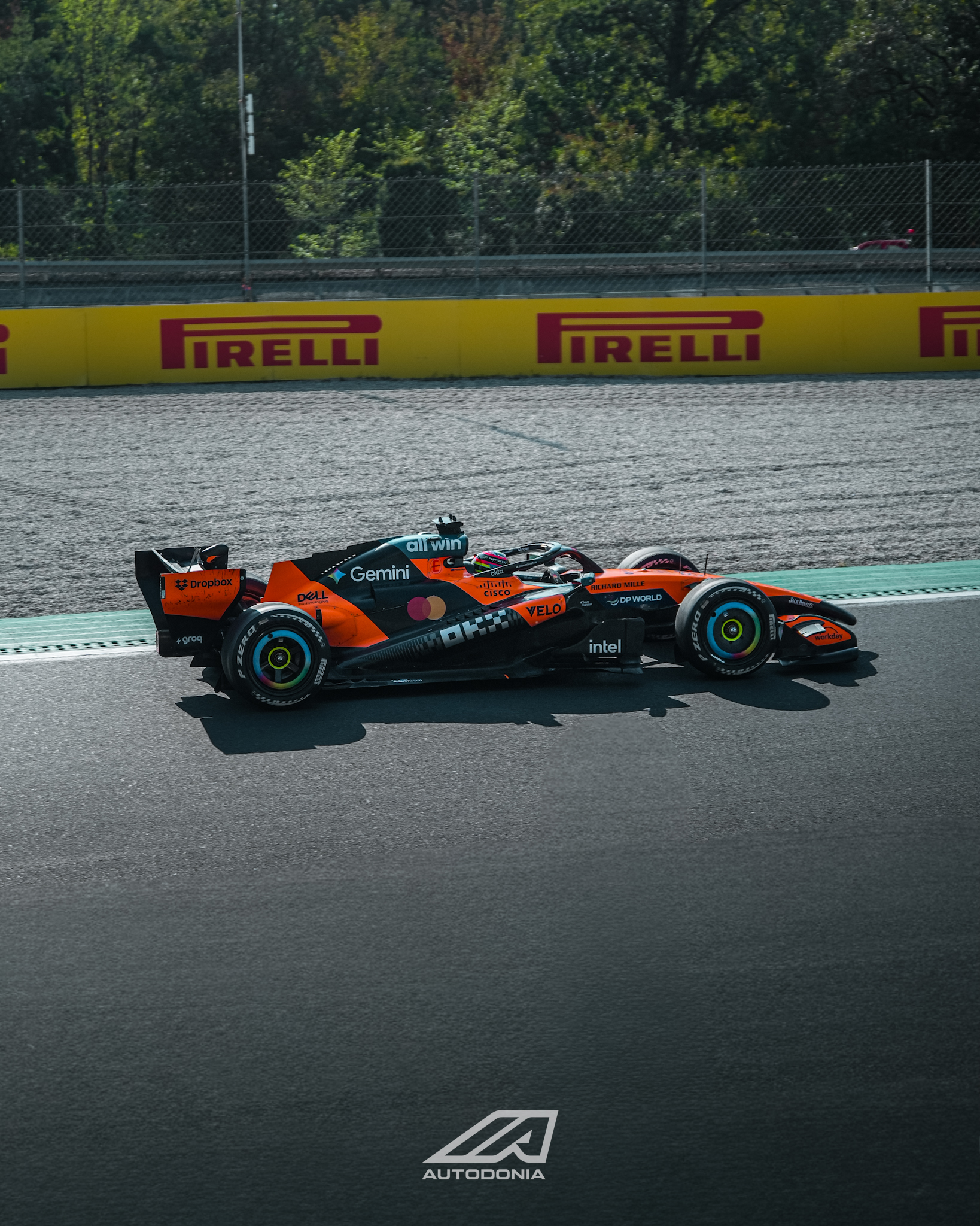 shows/f1-monza-2026/img_6286.jpeg