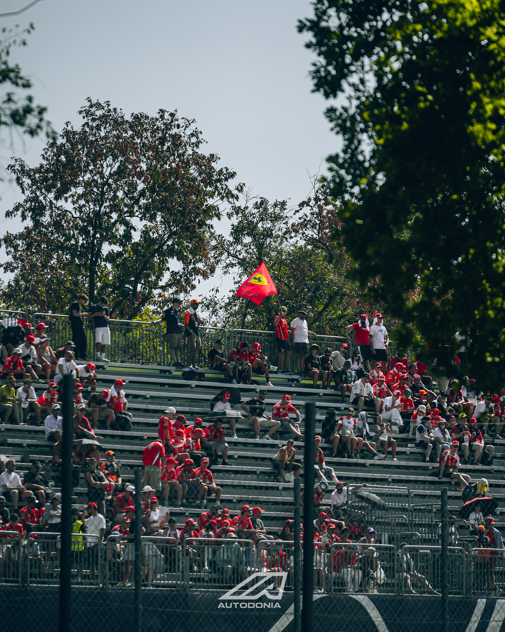shows/f1-monza-2026/img_6300.jpeg
